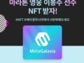 이봉주 NFT 를 드립니다.  메타갤럭시아 머니트리로 오세요.