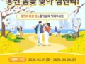 용인특례시의회 용인 봄꽃 명소 댓글 이벤트